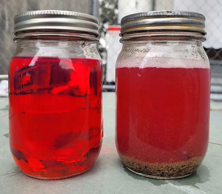 West Coast Fuel Service Fuel Cleaning Service in Fort Myers